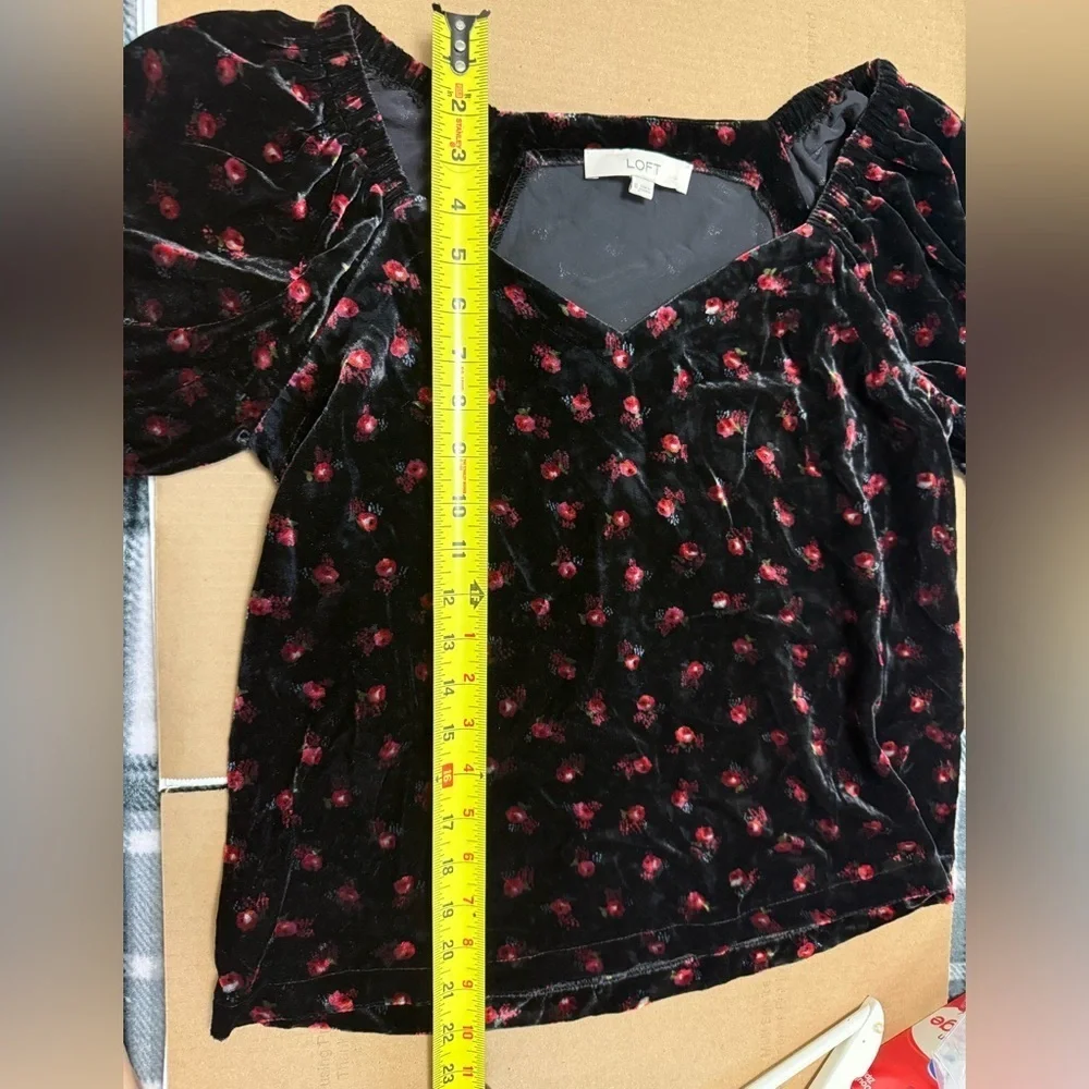 LOFT Velvet Top with Red Floral Design Puff Sleeve Vamp Fairy Grunge Whimsigoth